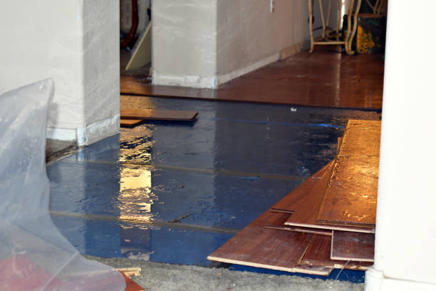 Professional Burst Pipe Cleanup technician working in Clemmons, NC